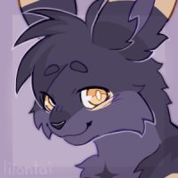 for magnapinna for magnapinna