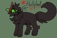 Hollyleaf Hollyleaf