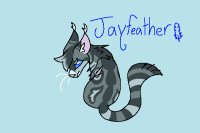 Jayfeather Jayfeather