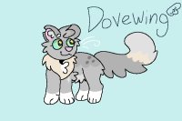 Dovewing <333 Dovewing <333
