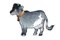 Buttermilk #B1277 - Koikee Buttermilk #B1277 - Koikee