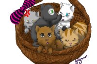 Basketful of Kittens