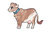 Buttermilk B1338 - fawn- Buttermilk B1338 - fawn-