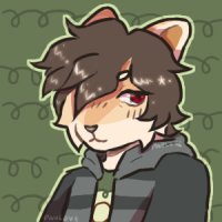 wentz is whack wentz is whack