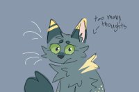 too many thoughts too many thoughts