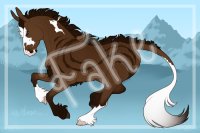 Bay Tobiano Bay Tobiano