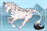 maximum white silver black maximum white silver black