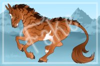 Red Dun Pangare Splash Red Dun Pangare Splash