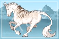 Isabella Palomino Splash Isabella Palomino Splash