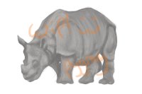 Rhino (WIP)