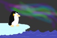 Fat Emperor Penguin Watchinh the Northern Lights