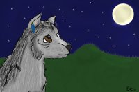 Wolf Staring at the Moon.
