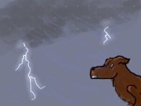 A Wolf in a Storm