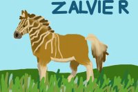 Zebra horse or Zorse