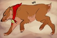 Random Charrie ((may be adoptable in future)) Random Charrie ((may be adoptable in future))