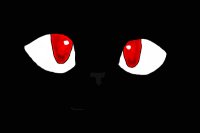 Red-eyed kitten