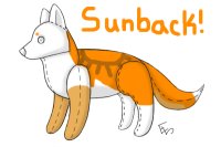 Sunback!