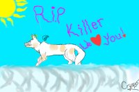 RIP Killer <3
