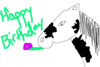 Birthday Pony/Horse