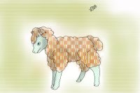 Sheep with shapes