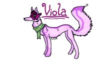 Viola For Cassie.