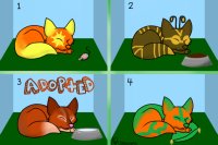 Adopt a fox! Litter 2