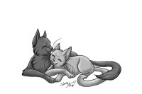 Color Me Cat Couple