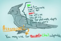Design Me a Bird Charrie! Move to contests please :3