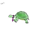 Random turtle