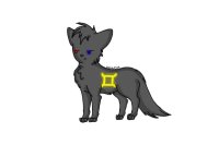 Sollux Cat does not approve