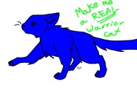 make me a real warrior cat
