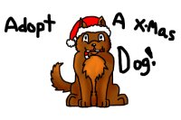 Adopt a X-mas Dog! OPEN!