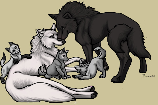 Wolf Mating Adoptables by Suicune.