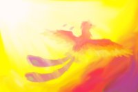 Phoenix Phoenix