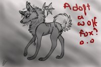 Adopt a Wolf/Fox/Dog :3 |Always FREE and OPEN|