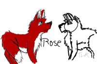 Tablet Tryout- Rose