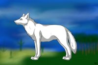 Wolf/Fox/Coyote