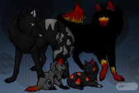 Meet: Flame and the pups!