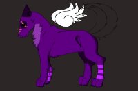 this is the purple wolf