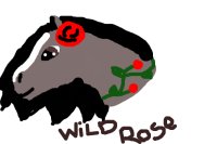 Wild Rose | check it!