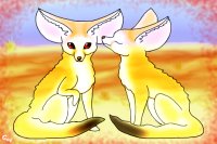 A Fennec Love Story