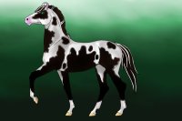A Paint Horse "Entry"