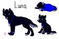 Hyeme's Luna!!
