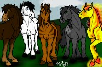 Story horses