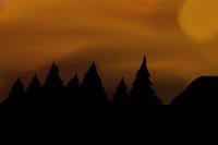 Trees at Sunset Trees at Sunset