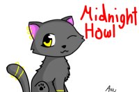 Midnight Howl