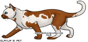 http://www.chickensmoothie.com/pet/1363963&amp;trans=1.jpg