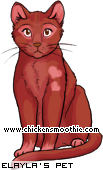 http://www.chickensmoothie.com/pet/1502705&amp;trans=1.jpg