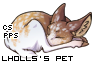 ChickenSmoothie Pet