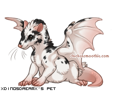 CS Pet